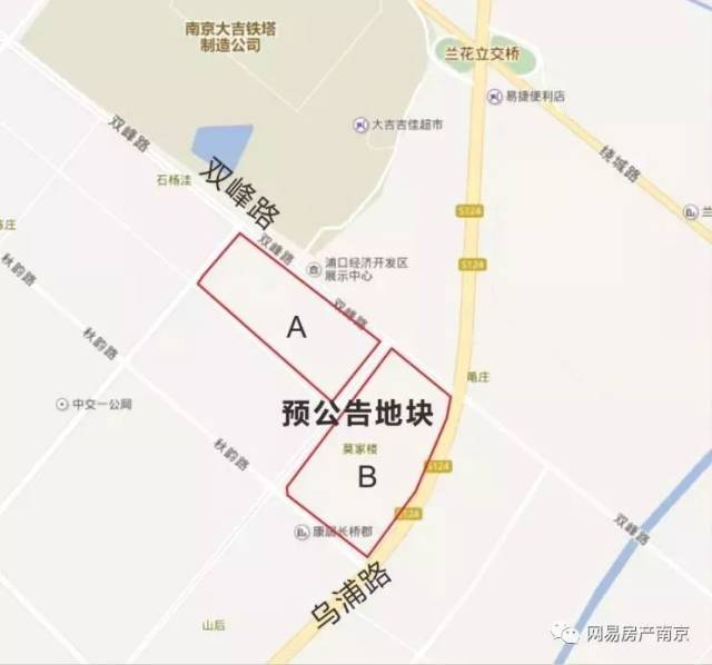 浦口桥林街道浦乌路以西,双峰路以南地块