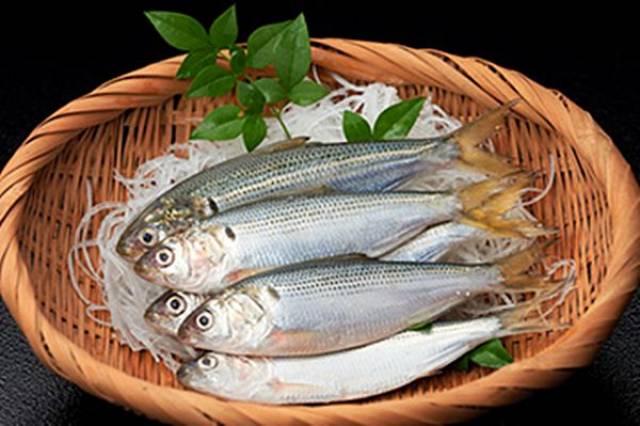 鰶鱼的 真正流行,还要得益于上世纪六七十年代物流和保鲜技术的进步.