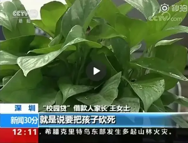 曝光!央视的一段校园贷调查视频,每个大学生都