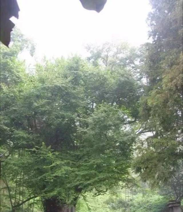乐行故乡之无为双泉寺
