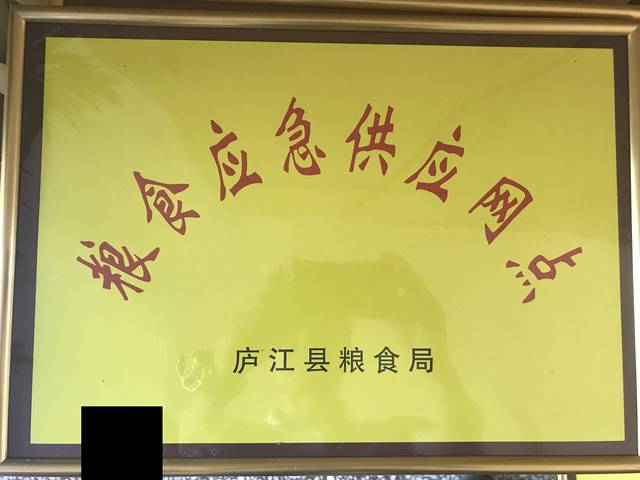 庐江县粮食局"五位一体"构筑应急"防护网"