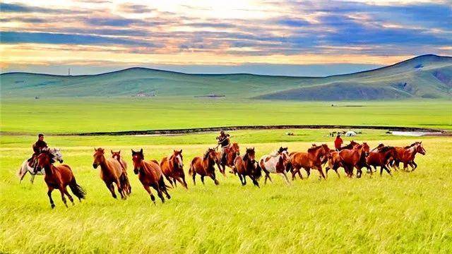 敖包挂满了祝福 牧场生长着希望 骏马奔腾着草原上的快乐 牛羊丰硕