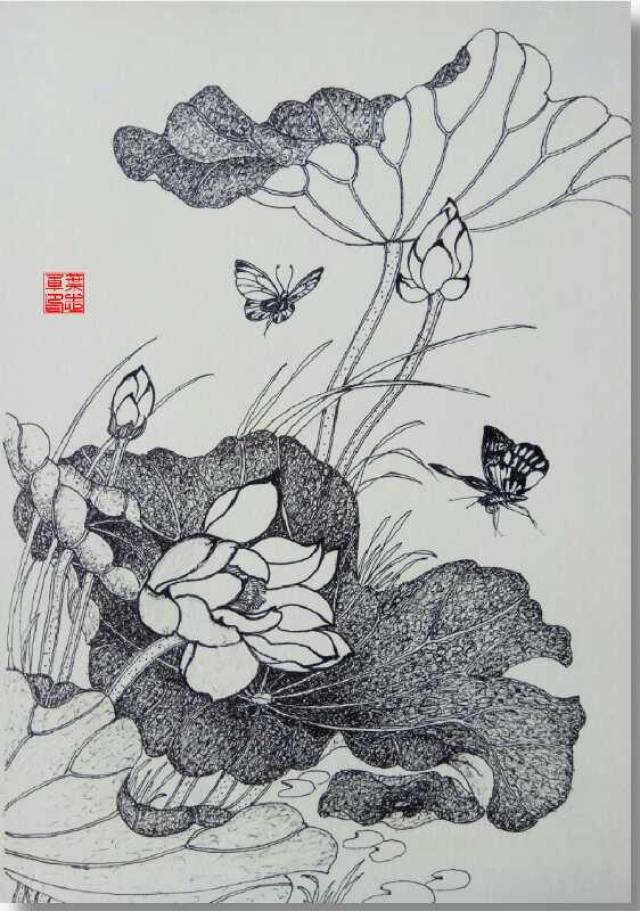 38,叶志军的钢笔画第五百七十二幅——荷花(中性笔花卉习作) 41,悠然