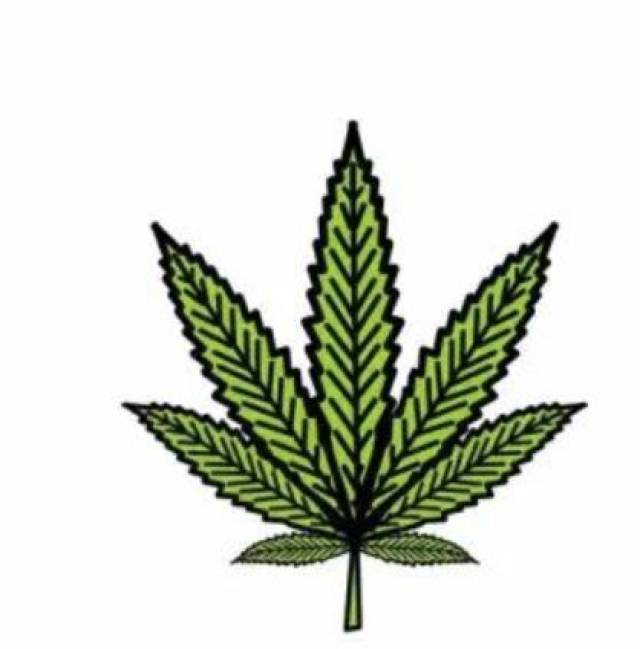 【普法进行时】关于毒品:电影《门徒》没告诉