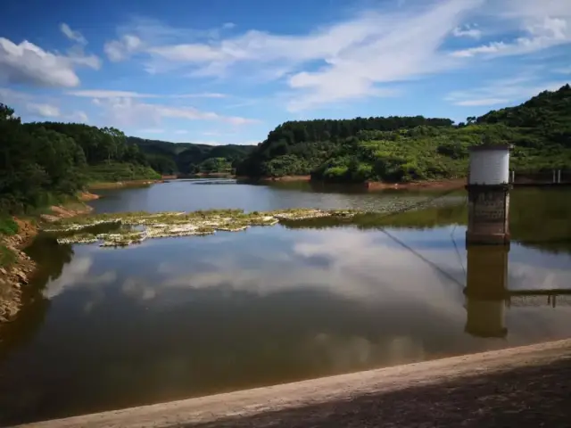 平均寿命85岁!涪陵这个"长寿村"里,隐藏着哪些秘密?