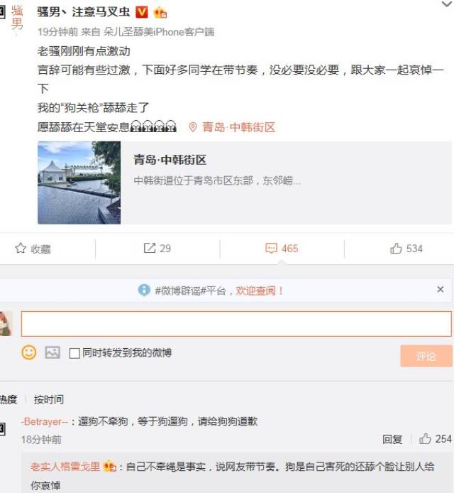 主播骚男爱犬被车撞,发微博要车主道歉,网友却表示:活该!