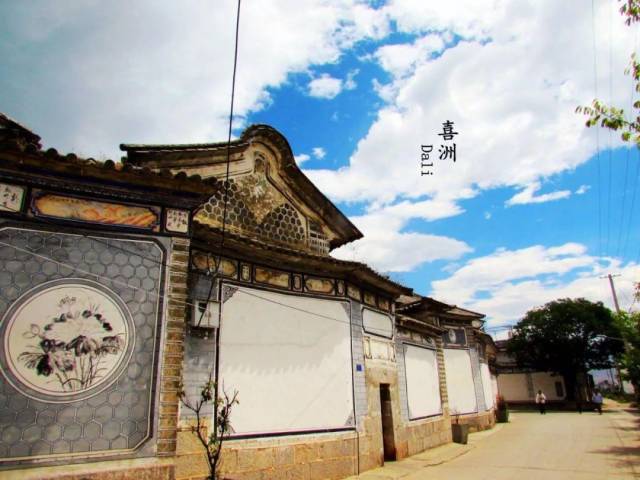 大理洱海|你就随我去流浪,反正遍地是花香