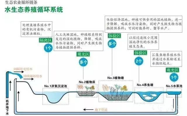 生态农业专业知识