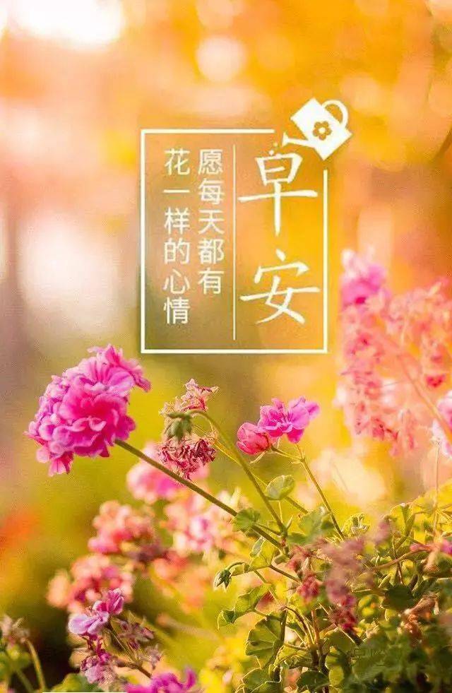 最新早安图片带字励志 新的一天早安激励语正能量短句