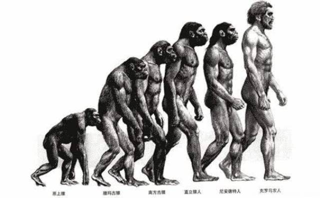 达尔文进化论失去意义?自然选择无效?红皇后假说冲击传统生物学