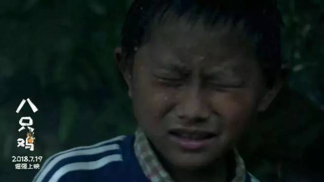 【八只鸡】这部暑期档唯一儿童励志电影 你应该看看!