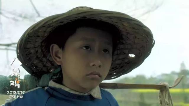 【八只鸡】这部暑期档唯一儿童励志电影 你应该看看!