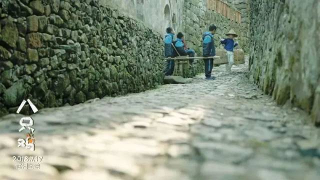 【八只鸡】这部暑期档唯一儿童励志电影 你应该看看!