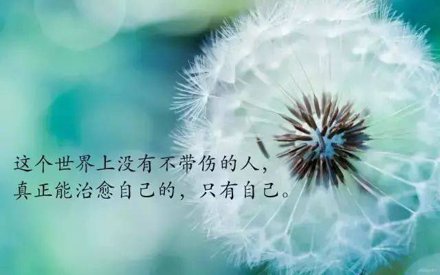 朋友圈正能量语录 早安励志句子