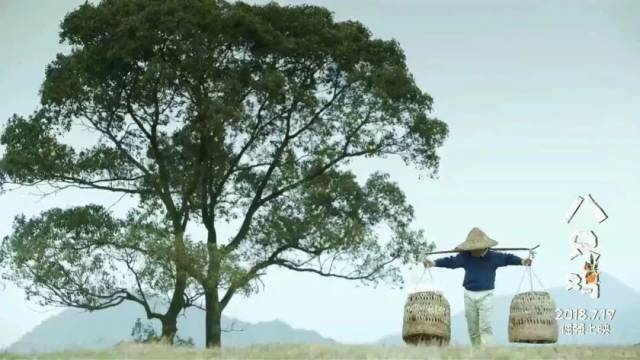 【八只鸡】这部暑期档唯一儿童励志电影 你应该看看!