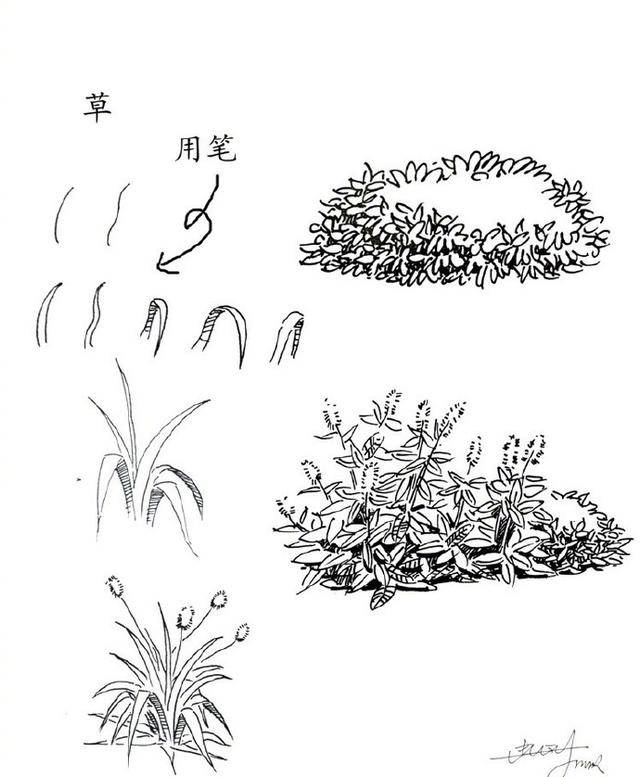 在最短的时间绘制出一个风景速写或景观设计图,20种植物的手绘速写