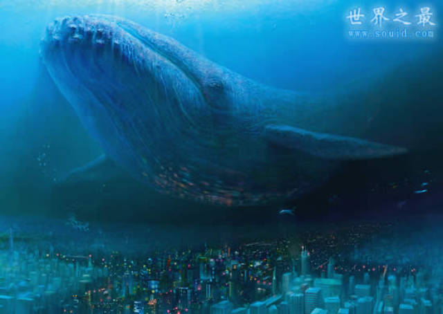 一,目前世界上最大的动物,蓝鲸