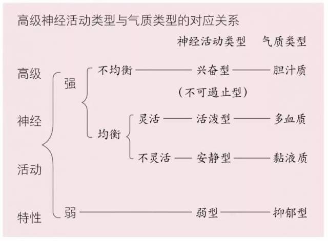除去体液的不同,气质的先天性,还表露在儿童幼年期的游戏,作业和交际