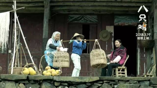 【八只鸡】这部暑期档唯一儿童励志电影 你应该看看!