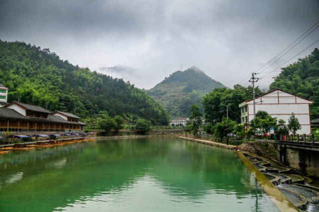 平阳县怀溪镇水口村,这里山高林密,溪泉淙淙房舍井然鸡宛如世外桃源