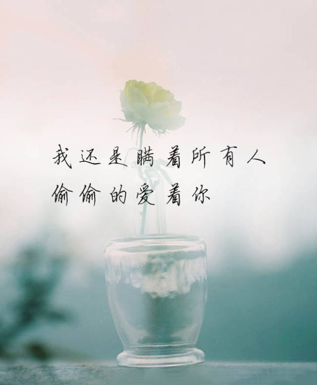 时光荏苒,你若安好,岁月无恙.