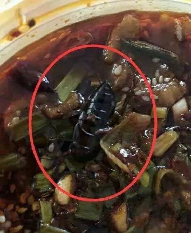 最近一只蟑螂就莫名的闯进了遂宁外卖,据网友爆料:通过美团外卖在某