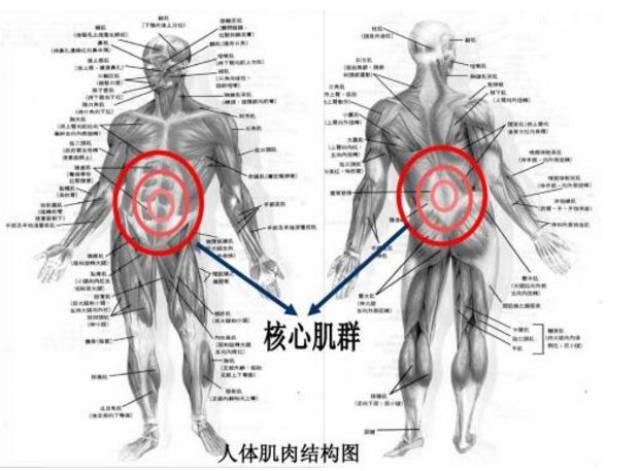 练好核心力量,跑步难再受伤