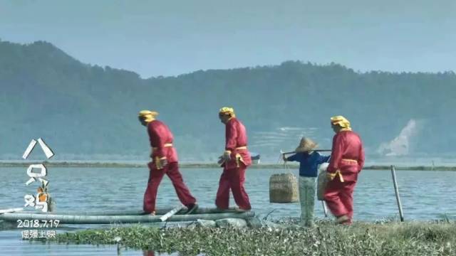 【八只鸡】这部暑期档唯一儿童励志电影 你应该看看!