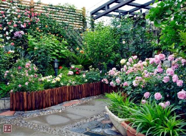 04 她的这座花园很快成为崇州的网红花园, 在成都晚报评选的最美阳台