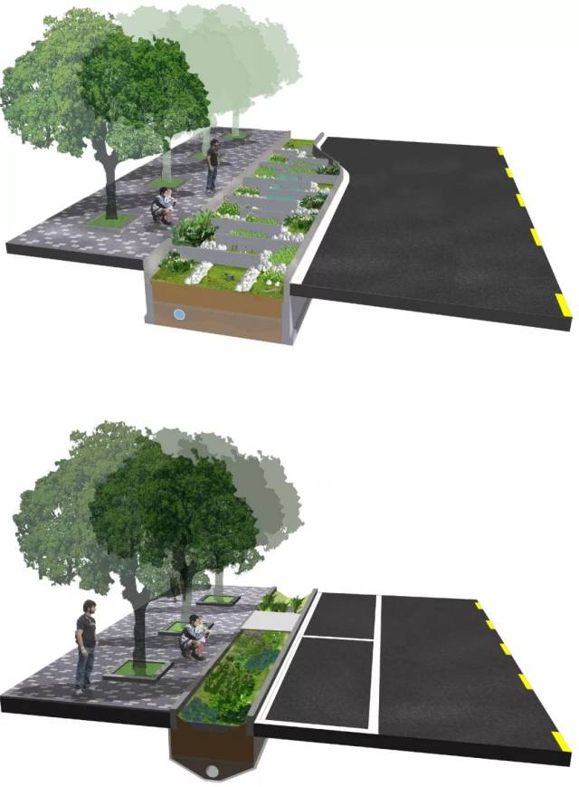 部分道路低冲击景观植物配置平面图