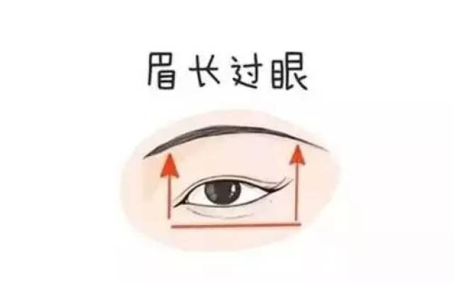 龙眉  