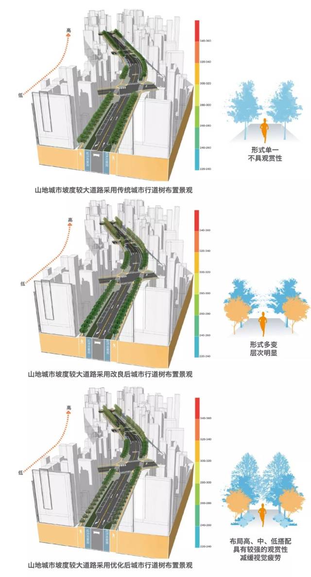 建筑与街道对绿化的影响分析图