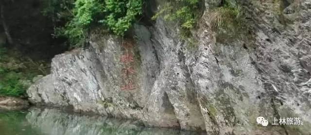 炎炎夏日,上林这里有一处避暑仙境!(上林