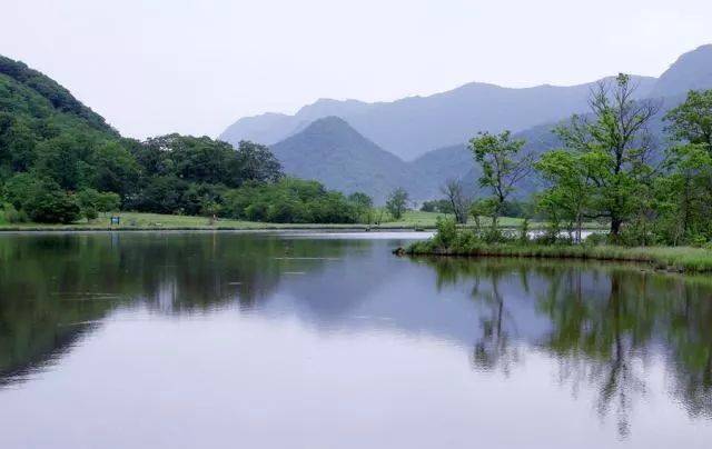 【避暑之旅神农架vip全陪团】双卧5日游||六大景