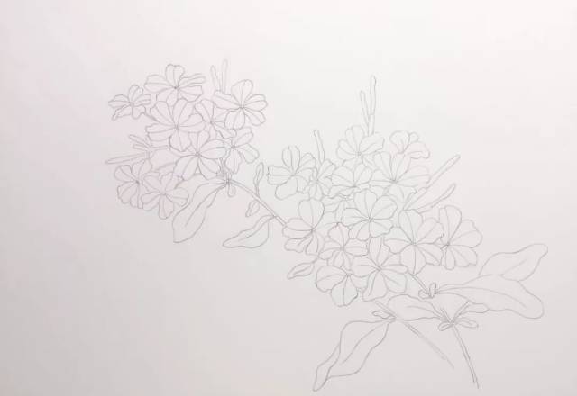 3分钟,教你学画温婉动人的水彩蓝雪花(含视频)