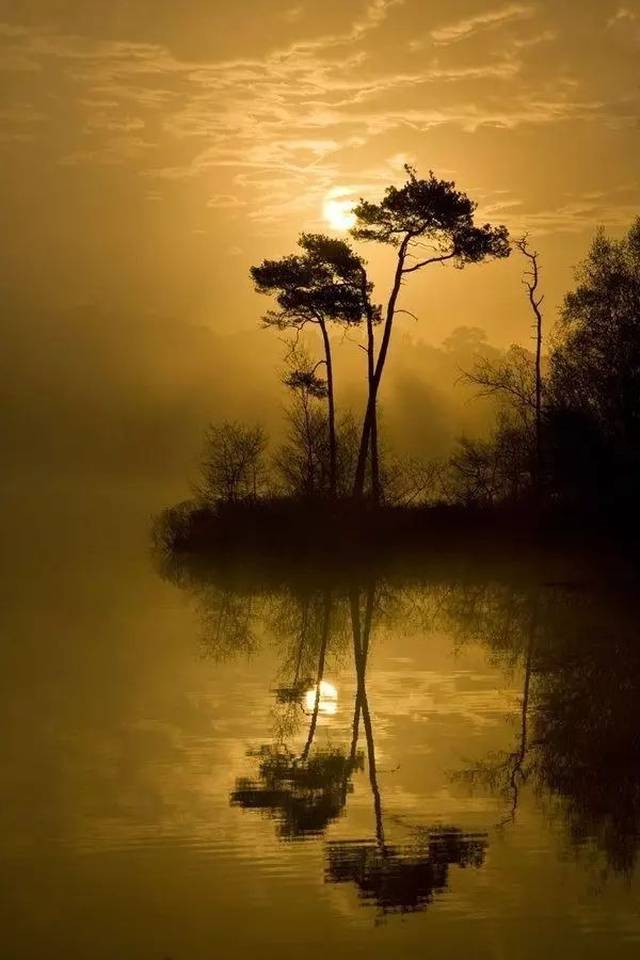 是风动,更是心动!