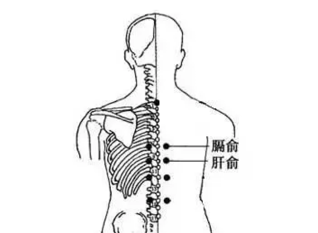 5,膈俞