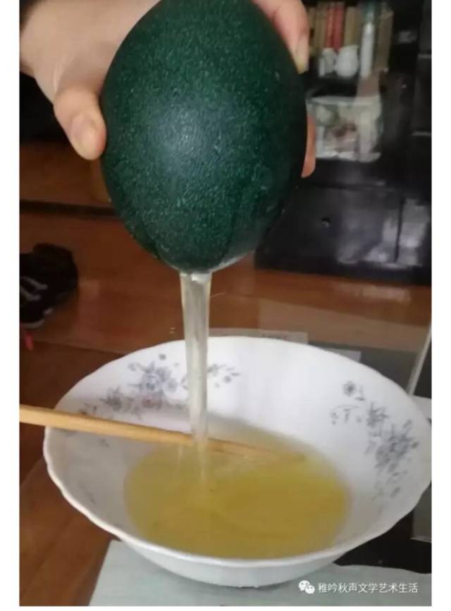 稚吟秋声:我有一颗鸸鹋蛋