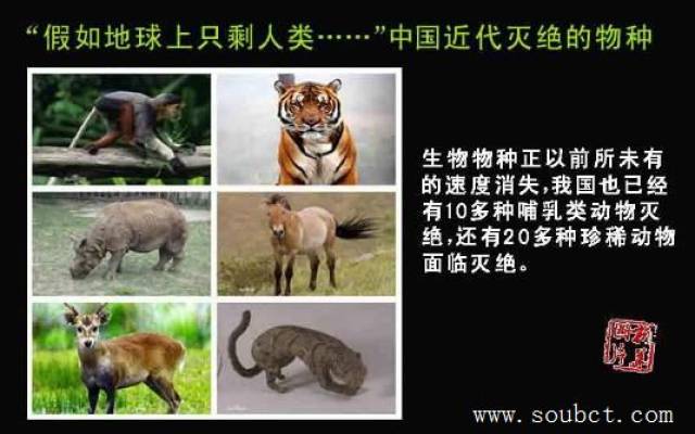 史前灾难,第五次生物大灭绝