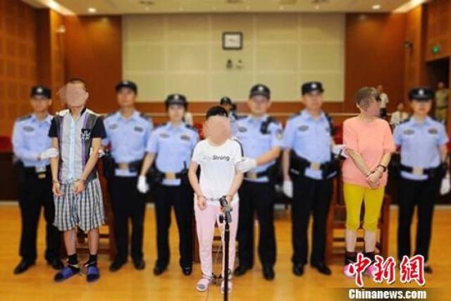 机关抓获归案;次日,被告人何鹏霖在河南省鲁山县被公安机关抓获归案