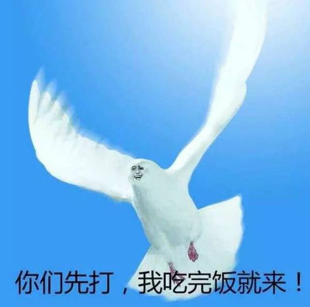 被放鸽子的命运 只不过「我出门了」 绝佳的状态,昂扬的斗志 卡机不能