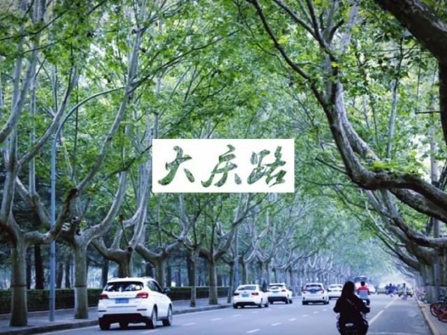 大庆路:西安"最阔"的林荫大道