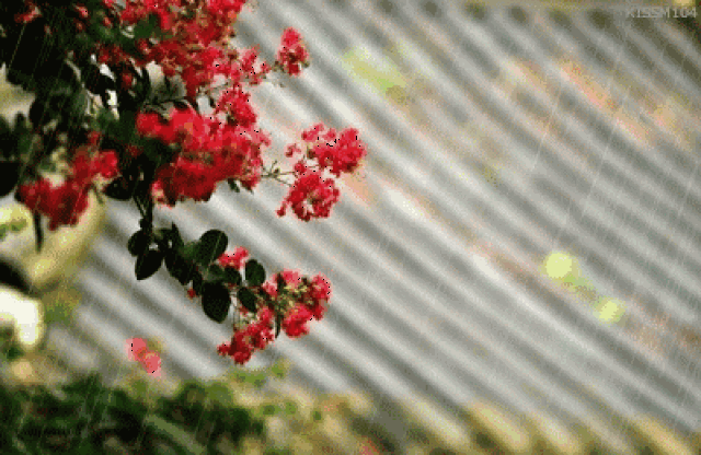 电台|一首《想让雨滴问问你》,听一遍就上瘾!