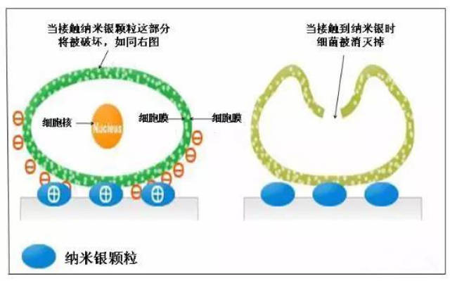 深度解析银离子抗菌剂!_手机搜狐网