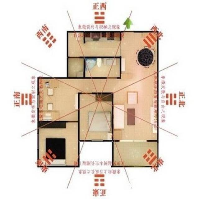 客厅财位放什么好?客厅财位干货,财源