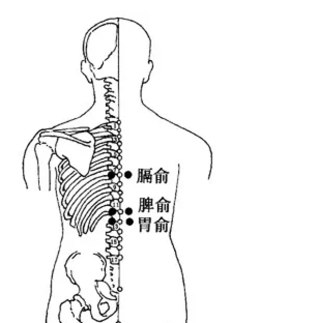 十人九胃,慢性胃病只需艾灸这几穴轻松搞定!