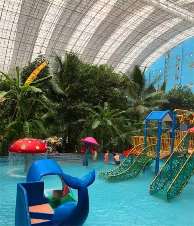 玩遍大连丨清凉的水上乐园来啦!快去浪起来