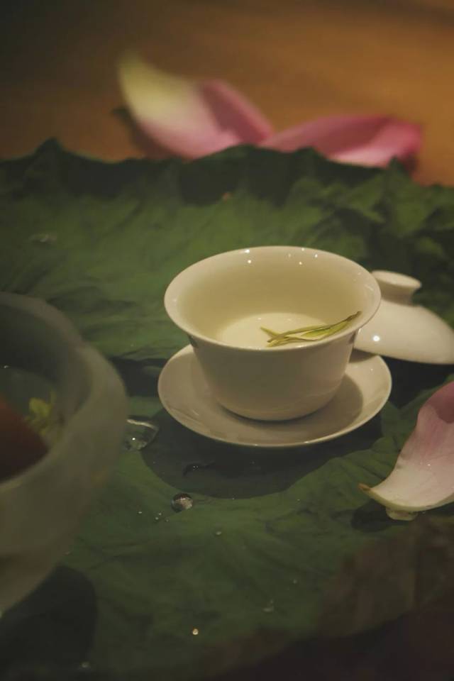 荷花旁设茶席,躲过人间半日