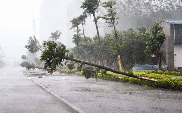 台风"安比"来袭,江苏南京等11市将有大到暴雨!