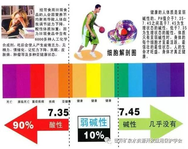 碱性体质 搜狐网